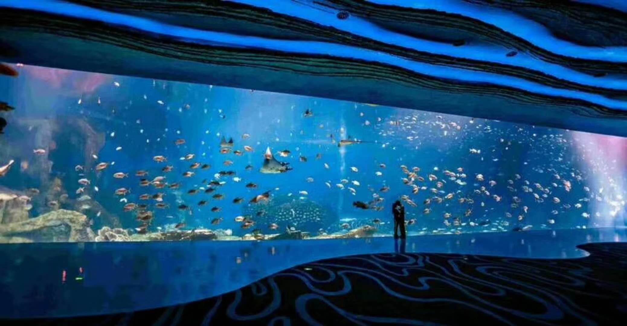 海洋館水族館生物養(yǎng)殖用水臭氧殺菌，滅藻
